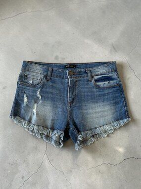 STS BLUE Frayed Fringe Denim Shorts Size 29